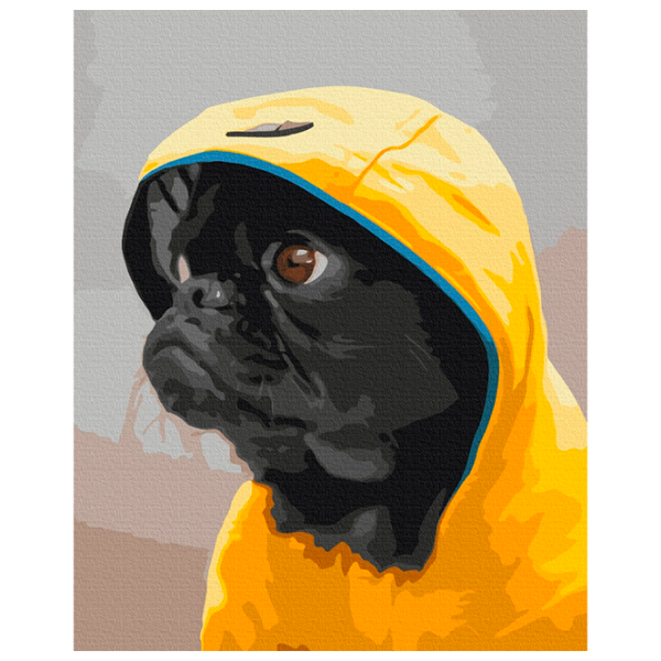 Pictură pe numere BrushMe Pug în glugă BS52614 50 x 40 cm / Verticală photo 1 Pictură pe numere BrushMe Pug în glugă BS52614 50 x 40 cm / Verticală photo 1