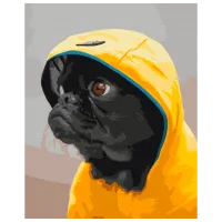 Pictură pe numere BrushMe Pug în glugă BS52614 50 x 40 cm / Verticală
