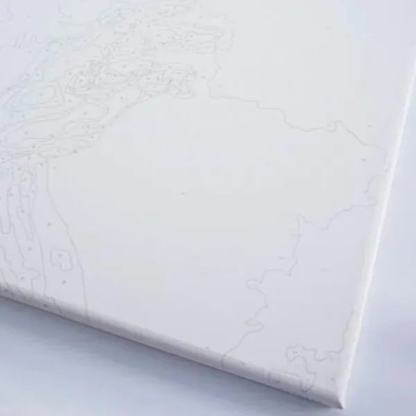 Картина по номерам BrushMe Неоновый хамелеон BSB0023FC 50 x 40 см / Вертикальная photo 5