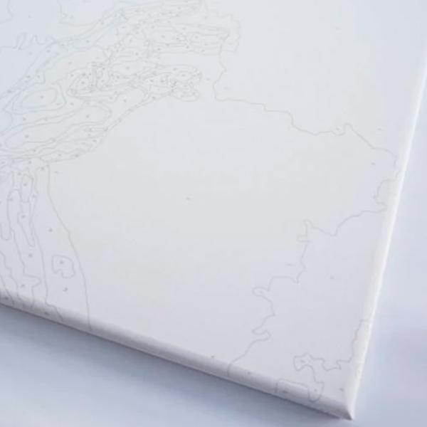 Картина по номерам BrushMe Дуэт волшебных рыбок BSB0025FC 50 x 40 см / Горизонтальная photo 5