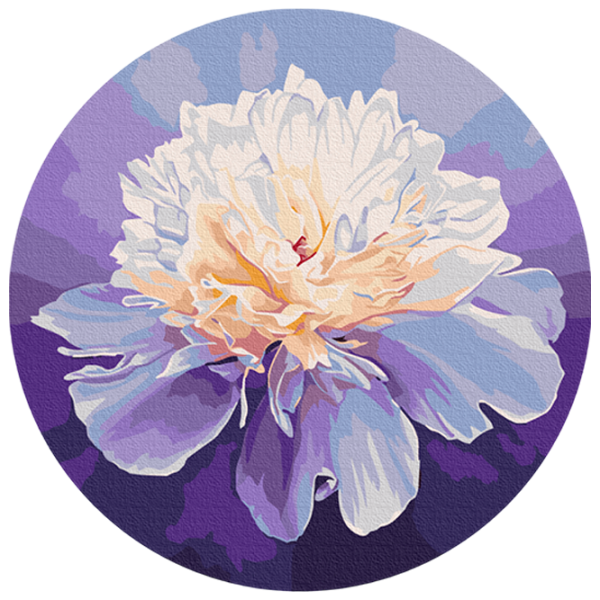 Pictură pe numere BrushMe Bujor delicat RC00074FC 30 x 30 cm / Verticală photo 1