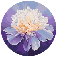 Pictură pe numere BrushMe Bujor delicat RC00074FC 30 x 30 cm / Verticală