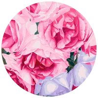 Pictură pe numere BrushMe Trandafiri roz RC00075FC 30 x 30 cm / Verticală