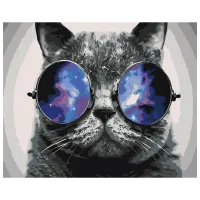 Pictură pe numere BrushMe Pisicul în Miami BS29637FC 50 x 40 cm / Orizontală