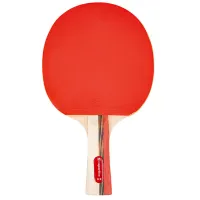 Набор палитр Insportline IN 21553  Для настольного тенниса / Прямая / Резина 