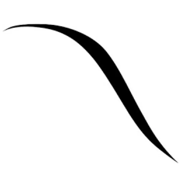 Подводка для глаз Bourjois LINER FEUTRE 0.8 мл / Черный photo 2