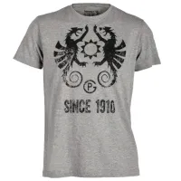 Футболка для мужчин Petromax PX-MSHIRT1910G 15% вискоза / Серый