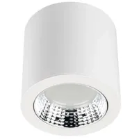 Spot luminos led Rightlight LBLSRF0321 21 W / 