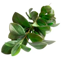 Plantă artificială Deco Prim Ramura decorativa Green / Înălțimea (cm) - 