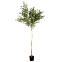 Plantă artificială Deco Prim Arbore Green / Înălțimea (cm) - 180