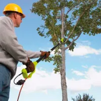 Mașină de tuns gard viu Ryobi RPP755E / Green photo 4