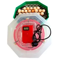 Инкубатор Ertec ERT-MN 9054 220 В
