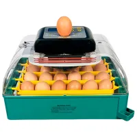 Инкубатор Demetra EU Profi C-24 220 В photo 2