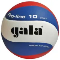 Мяч для волейбола Gala Training 5565 Полиуретан / Любительский