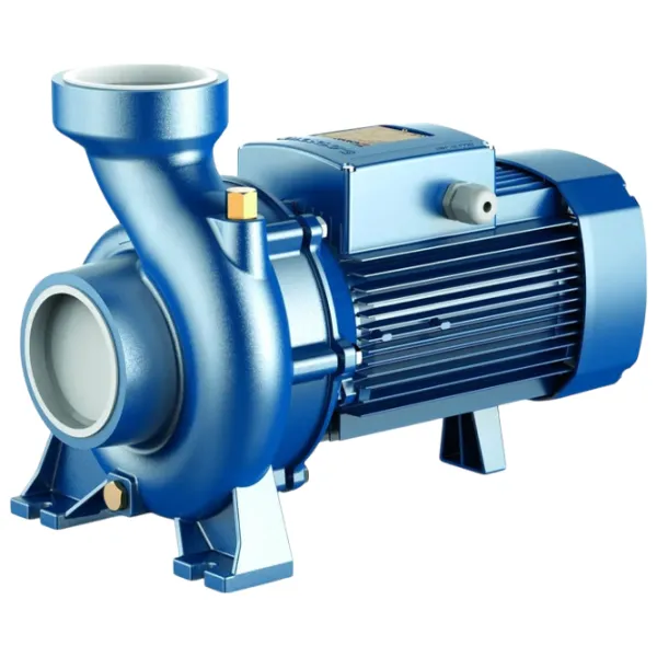Pompă de suprăfață Pedrollo 47HF5M0LA1 750 W 48000 l/h photo 1
