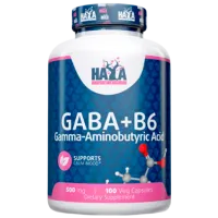 Аминокислоты Haya Labs GABA + B6 (858047007823) 500 г 