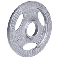 Диск для гантели Insportline Hamerton 1.25 кг photo 2