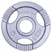 Диск для гантели Insportline Hamerton  5 кг