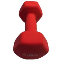 Ganteră Miscellaneous 4558  6 kg / Cantitatea în set - 1