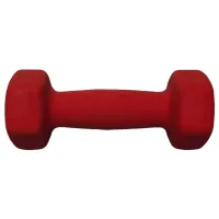 Гантель Miscellaneous 4558 6 кг / Количество в наборе - 1 photo 3