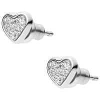 Cercei pentru femei FOSSIL JF03944040 Oțel inoxidabil / Silver