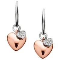 Серьги для женщин FOSSIL JF02852998 Нержавеющая сталь / Розовое Золото