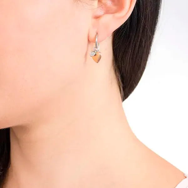 Cercei pentru femei FOSSIL JF02852998 Oțel inoxidabil / Rose Gold photo 2 Cercei pentru femei FOSSIL JF02852998 Oțel inoxidabil / Rose Gold photo 2