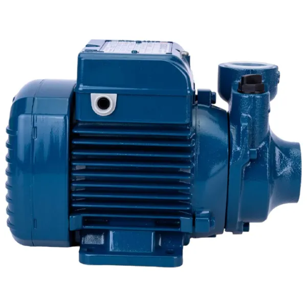 Pompă de suprăfață Pedrollo 41PNK60A1 370 W 2400 l/h photo 2