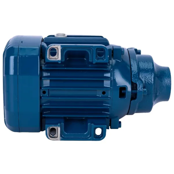 Pompă de suprăfață Pedrollo 41PNK60A1 370 W 2400 l/h photo 4