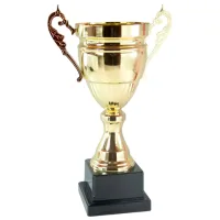 Кубок Sportline 2024B Металл / 38 см