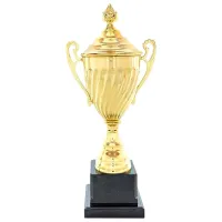 Кубок Sportline 3018A Металл / 44 см