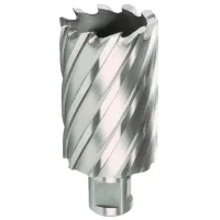 Коронка Hikoki 754407 Биметалл / Weldon