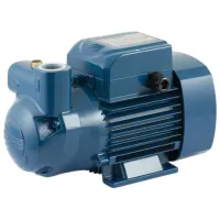 Pompă de suprăfață Pedrollo CKm 80 Е 46CKE80A1 550 W 3000 l/h