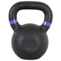 Greutate Insportline 21692 20 kg / Cu un mâner