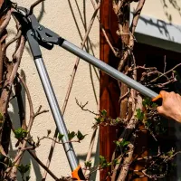 Foarfecă de gradină NEO Tools 56324 Oțel photo 5