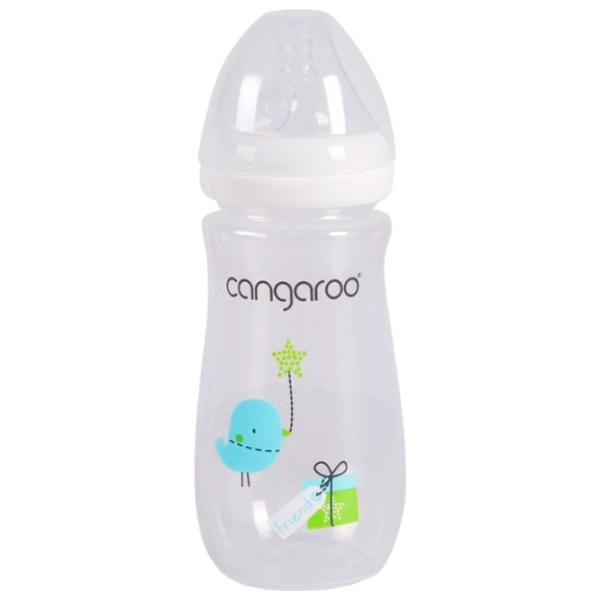 Biberon Cangaroo C0563  Pentru băieți / 300 ml / Transparent photo 1
