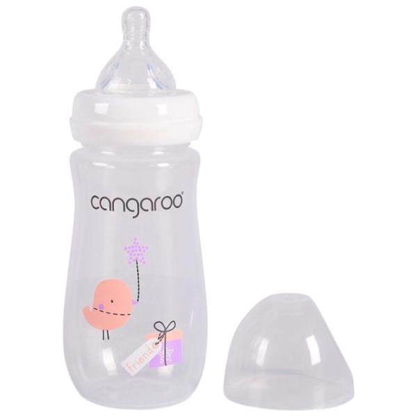Biberon Cangaroo C0563  Pentru fetițe / 300 ml / Transparent photo 2