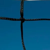 Plasă pentru volei Insportline 725 Polipropilenă / pentru volei