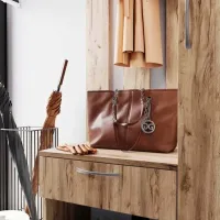 Dulap pentru antreu ML-Mobila МЛ-8 PAL / Gold Oak photo 2