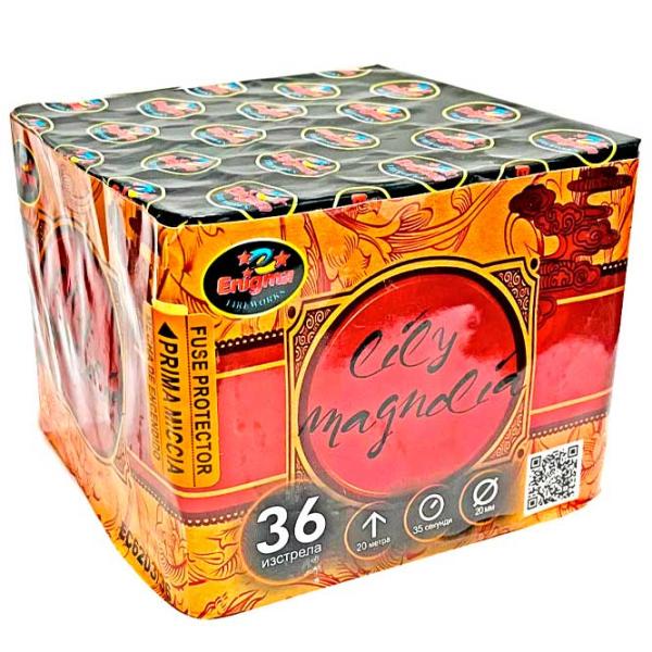 Baterie de artificii Pyro LILY MAGNOLIA EС6203 36 focuri photo 1