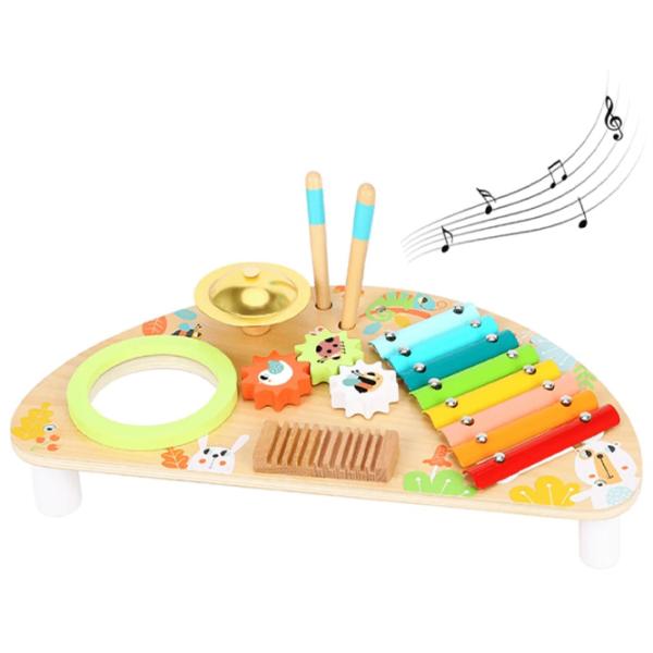 Centrul de muzică Tooky Toy TKC354A 10 luni / Multicolor photo 1