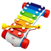 Ксилофон Fisher Price CMY09 18 месяцев / Разноцветный photo 2