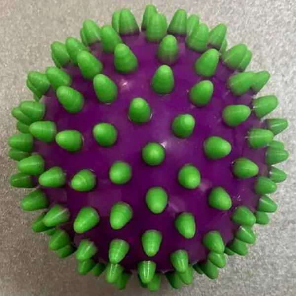 Minge medicinală Miscellaneous 6923 Cauciuc / Purple photo 2