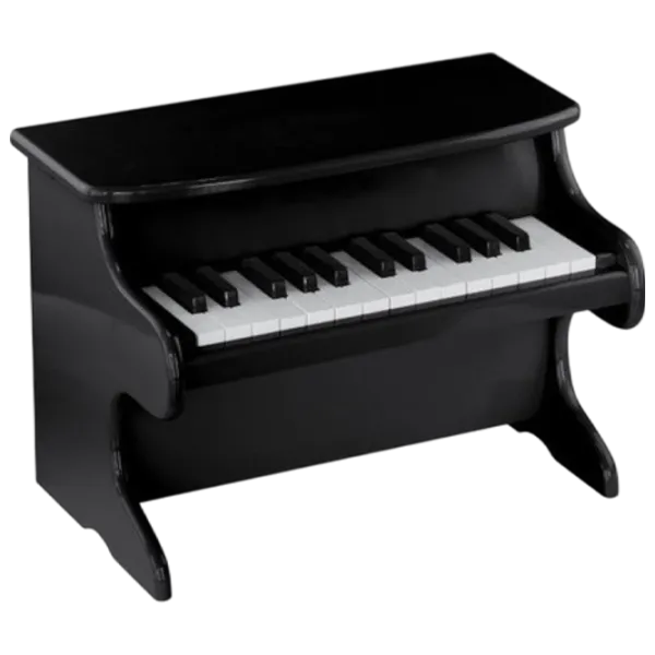 Pian pentru copii VIGA My First Piano 15 clape  / Black photo 1
