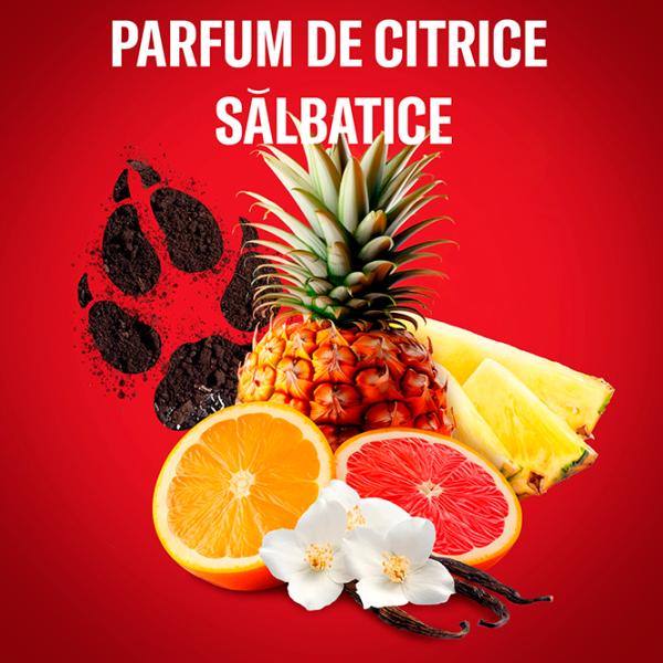 Гель для душа Old Spice Wolfthorn 3 in 1 Для него photo 2 Гель для душа Old Spice Wolfthorn 3 in 1 Для него photo 2