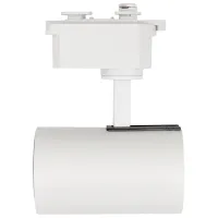 Proiector LED Rexant 611-001 White / 1050 Im photo 2