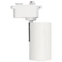 Proiector LED Rexant 611-001 White / 1050 Im photo 6