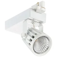 Прожекторы Philips 910500456858 Белый / 2800 Lm