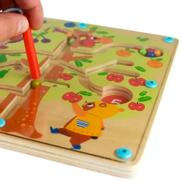 Развивающий набор Tooky Toy TH687 2+/ Развитие photo 2