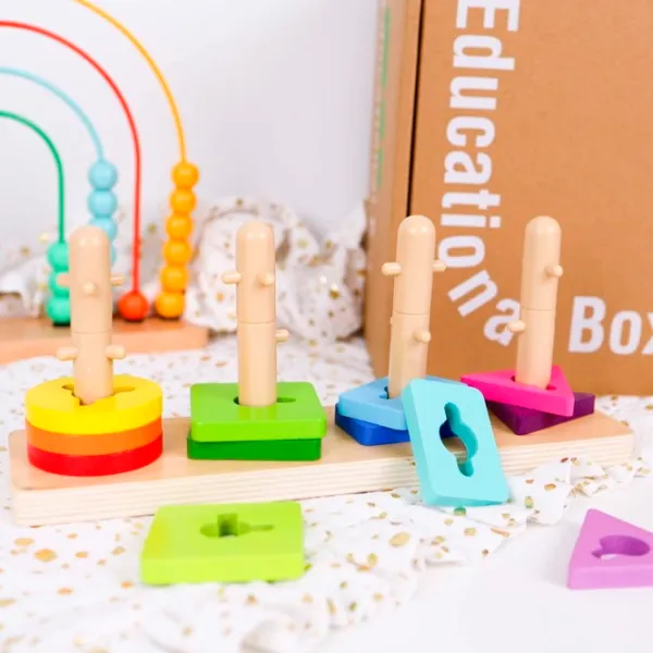 Развивающий набор Tooky Toy TK754 2+/ Развитие photo 2